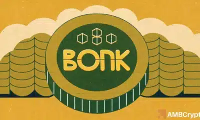 BONK slips below key support: Can buyers stop a 23% decline?