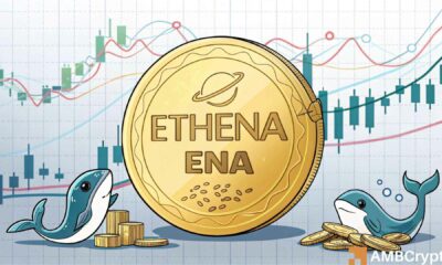 Ethena set for 6% correction – Why do whales keep buying?