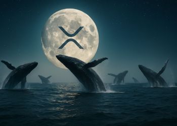 XRP Nears ATH Following $3.8B Whale Surge – Maxi Doge Presale Explodes