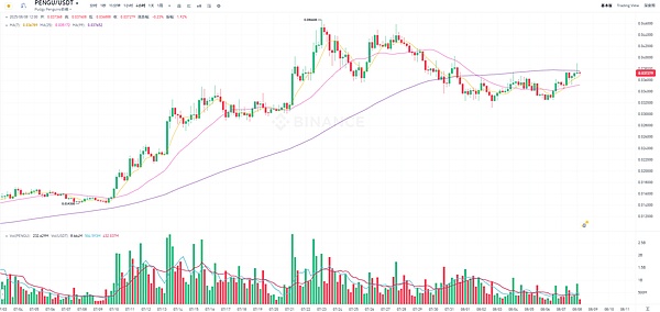加密市场多点开花：PENGU突破、BTC回升、DOGE 重返“十年买点”、TRON稳定币盛宴
