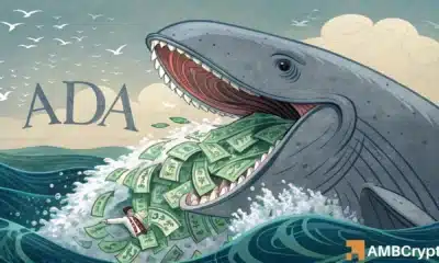 $166M whale bet keeps ADA steady, but Cardano can rally to $1 ONLY IF…