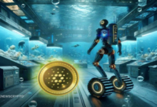 Cardano and XRP Partnership Talks with Wallet Support and Airdrop