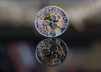 Ripple CTO Declares Blockchains Can Solve Problems Outside Of Cryptocurrencies