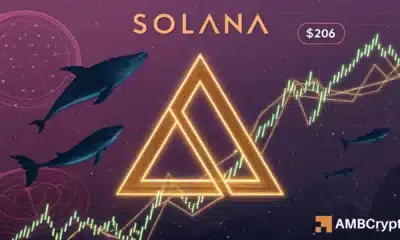 Solana builds momentum from key support: Is $206 within reach?
