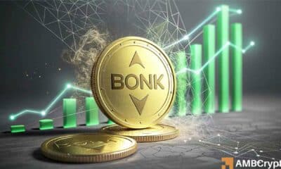 BONK eyes breakout – But price must beat THIS hurdle first