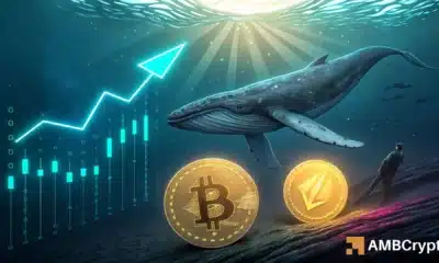 From Bitcoin to Ethereum: How one whale’s $2.6B gamble shook the market