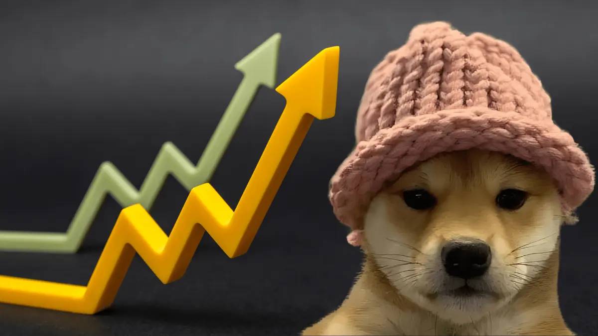 被遗忘的WIF，注意力经济下的meme币生死法则