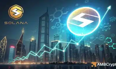 Solana captures 40% of crypto buybacks: SOL can reach $295 IF…