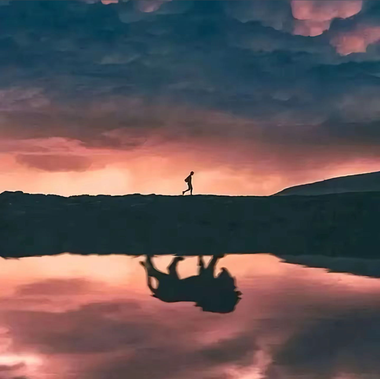 Picture of the author