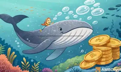 Hyperliquid – Analyzing impact of $3.9M whale buy on HYPE’s price