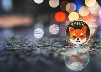 Shiba Inu 699,000% Imbalance: What Happened To Trigger It?