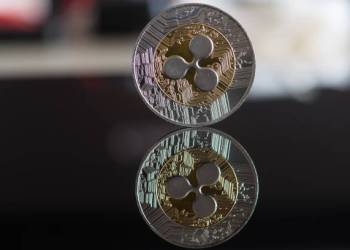Bitcoin Maxi Blasts XRP Investors With ‘Retarded’ Tag Amid Price Drop