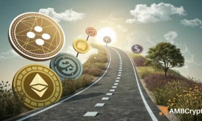 Will altcoins mirror 2021 rally as google searches hit 5-year high?
