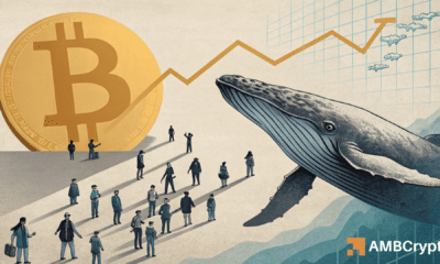 Bitcoin: As 2 major groups return, is BTC ready for a strong rebound?