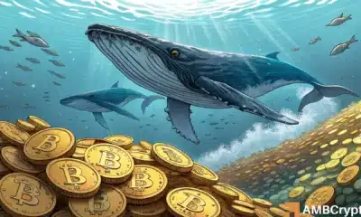 How Bitcoin’s record accumulation could fuel a BTC price surge