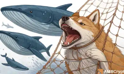 Shiba Inu whales quietly accumulate – Is SHIB ready for breakout rally in September?