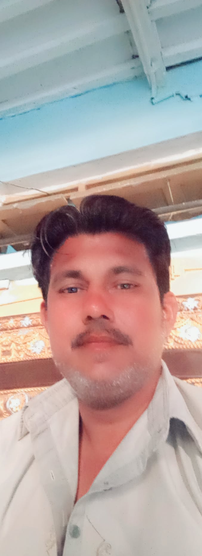 Picture of the author