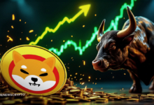 SHIB Price Surges Despite Lower Token Burning Over 24 Hours