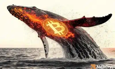 Bitcoin whale supply lowest since 2018 at 488 BTC – Panic or opportunity?