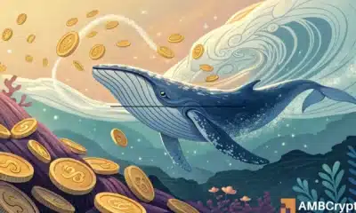 Hyperliquid hits new ATH! – Evaluating if HYPE can hold the rally