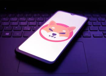 Shiba Inu Holders Warned Against This Critical Scam That Could Cost Them Money