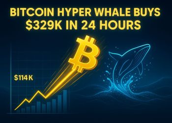 Bitcoin Prepares for Another Surge as Whales Buy $329K Bitcoin Hyper in a Day