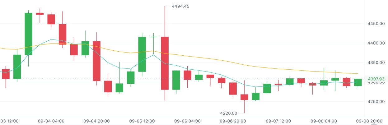 请检查网络连接