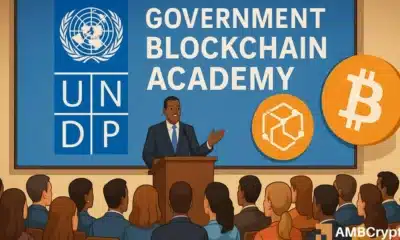 UNDP sets the stage for governments to master blockchain tech – But why?