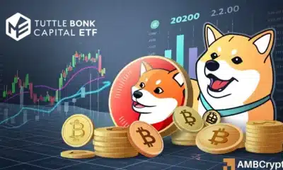 BONK, Litecoin, SUI see ‘colorful crypto income ETF’ filings – Impact on price?
