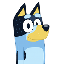 bluey