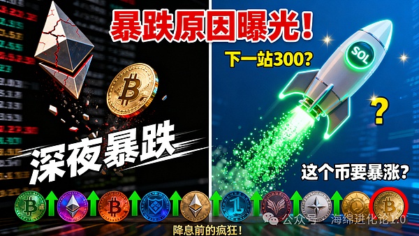 比特币、以太坊深夜暴跌 原因竟是它 SOL逆势暴涨直奔300美元?山寨币集体狂欢