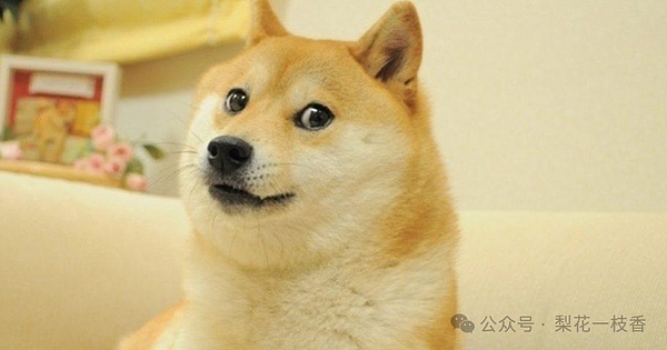 黄金交叉在即狗狗币(DOGE)稳守0.20美元支撑 下一站0.35美元