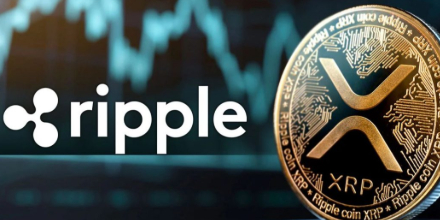解码XRP筹码分布,谁拥有最多的XRP?