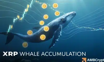 Whales scoop $962 mln XRP in 2 weeks: Is $4 closer than you think?