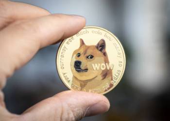 Here’s How Much Dogecoin Whales Bought In Only One Week