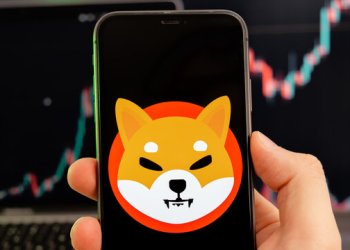Shiba Inu Bulls Are Back: Here’s The 512 Billion SHIB Accumulation That Triggered A Spark