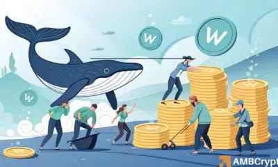 Worldcoin team moves $144mln – But here’s why investors still keep buying!