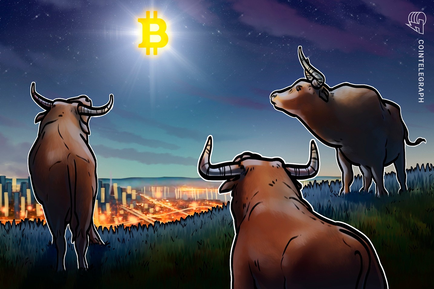分析师称,比特币(BTC)冲击 30 万美元目标“可能性正日益增加”
