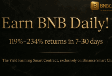 From 0 to $867K: Tracking BNBCapital’s Organic Growth in the Competitive BSC DeFi Landscape