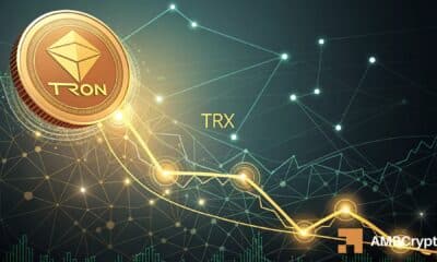 TRON [TRX] holds KEY support! – Next targets $0.37 and…