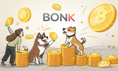 BONK’s on-chain strength vs. dipping price – What’s going on?