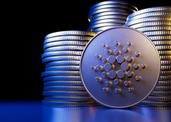 Cardano Bullish Bets: Daily Trading Volume Explodes With ETF Listing Buzz – What To Know