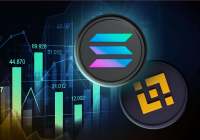 BNB vs SOL 储备版图：亚洲资本与华尔街的博弈
