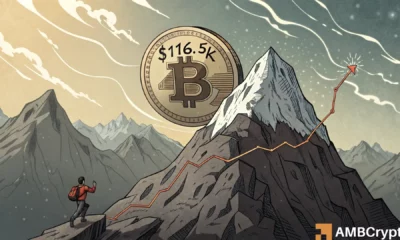 Bitcoin’s smartest holders aren’t selling – What happens if $116.5K cracks?