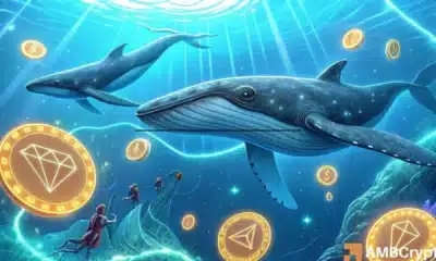 Tron whales pile into TRX, yet volatility risks remain – Why?