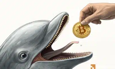320 Bitcoin withdrawn by fresh wallet – BTC’s bullish rotation ahead?