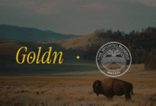 Wyoming Reserve Partners With Global Gold to Launch First Fully Allocated U.S. Gold On-Chain