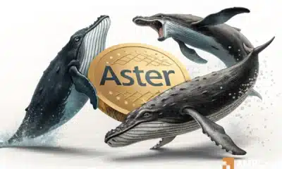 Here’s how ASTER whales are turning panic into profits!