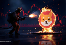 SHIB Price Tumbles Despite High Weekly Token Burn