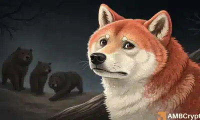 Shiba Inu price prediction – All about THIS risky buying opportunity for traders!